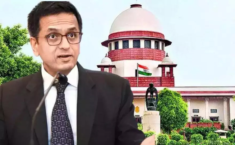 CJI.jpg