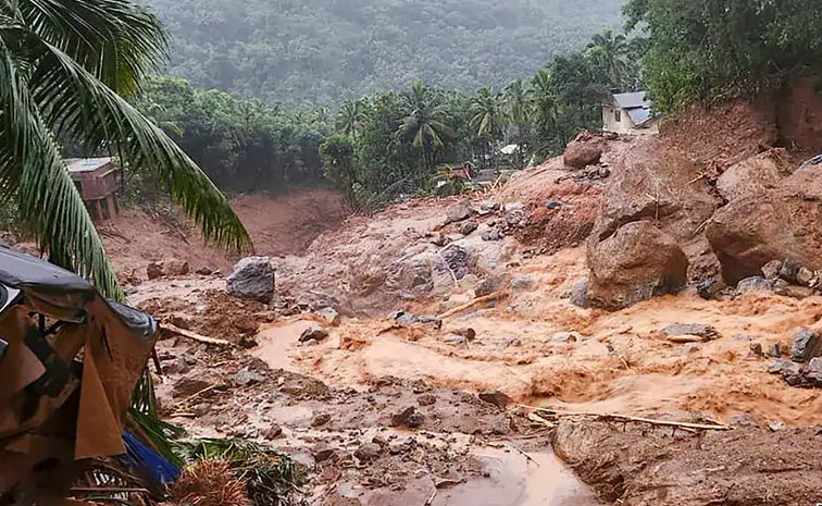 kerala-5.jpg