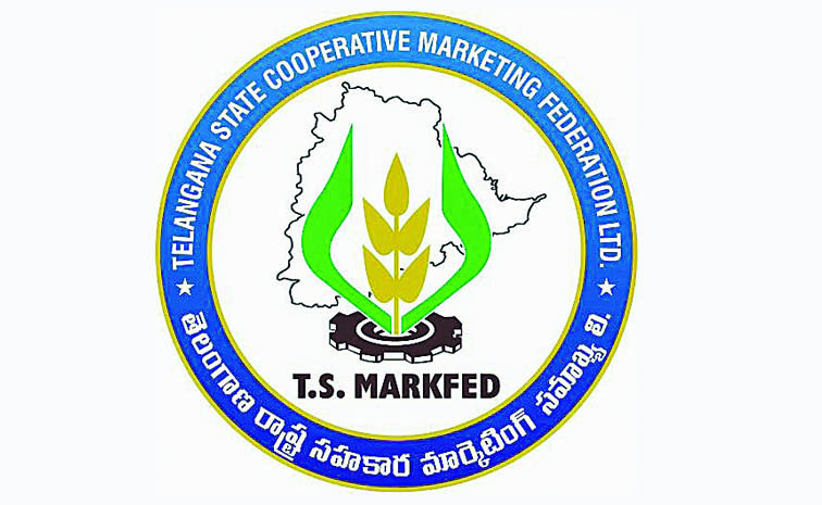 MARKFED_205.jpg