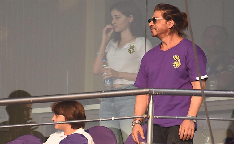 ipl_4.jpg
