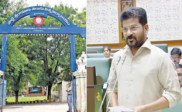 Teluguuniveristy2.jpg