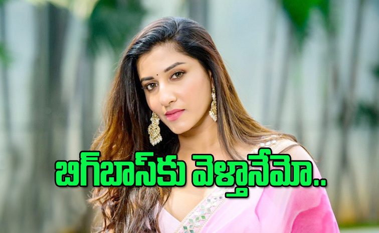 vishnupriya_0.jpg