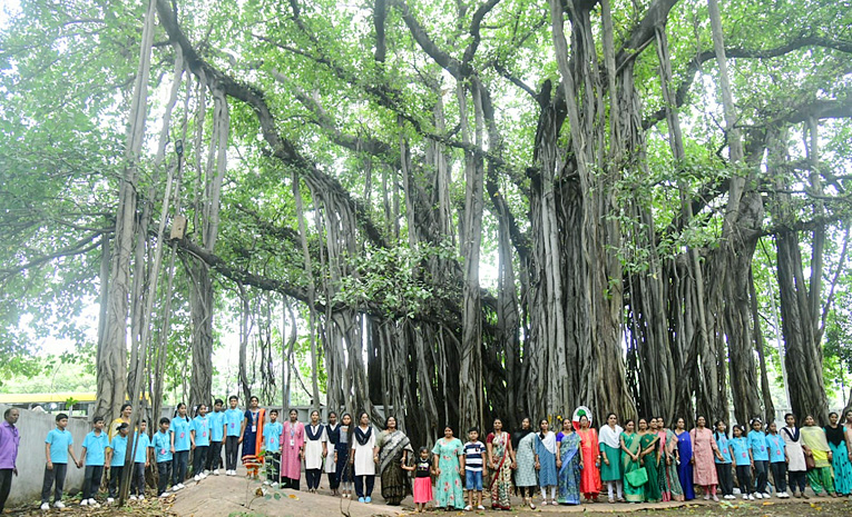 Students_20tie_20Rakhi_20to_20hundred_20years_20of_20history_20old_20banyan_20tree_20in_20Visakhapatnam_20Photos_20_281_29.jpg 1