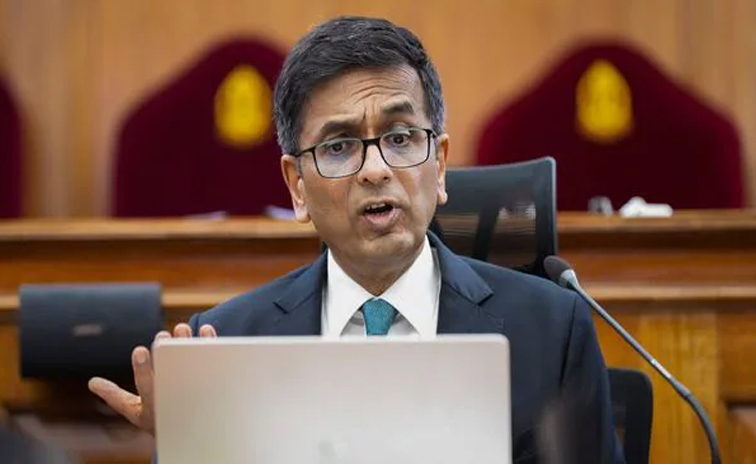 cji.jpg