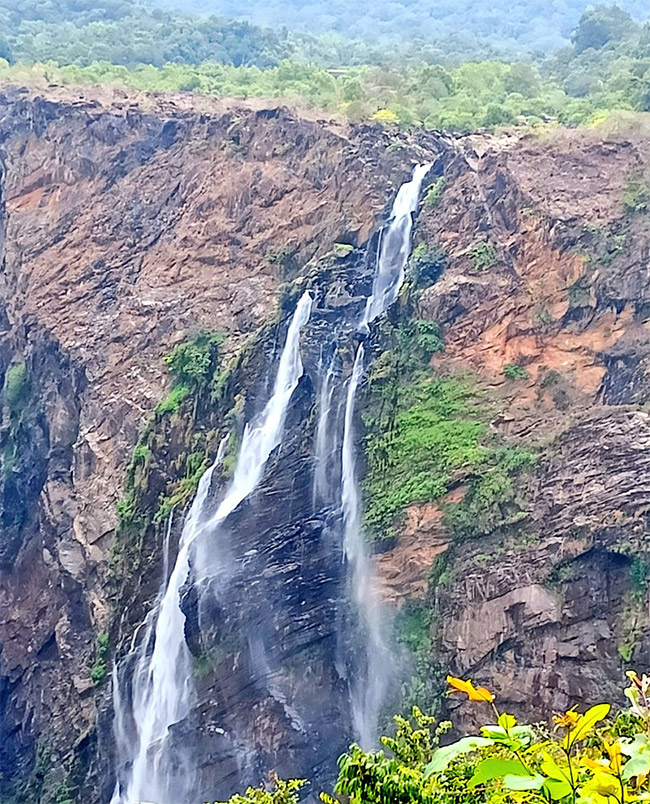 karnataka_20jog_20falls_20photos_9.jpg 8