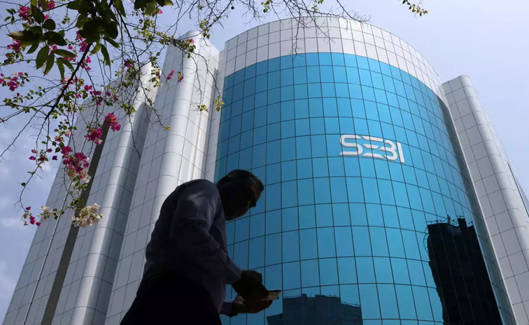 sebi.jpg