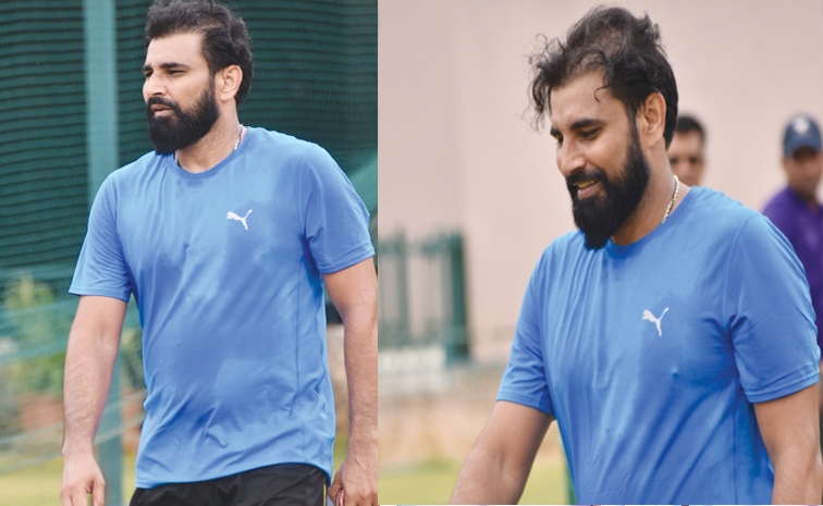 shami2.jpg