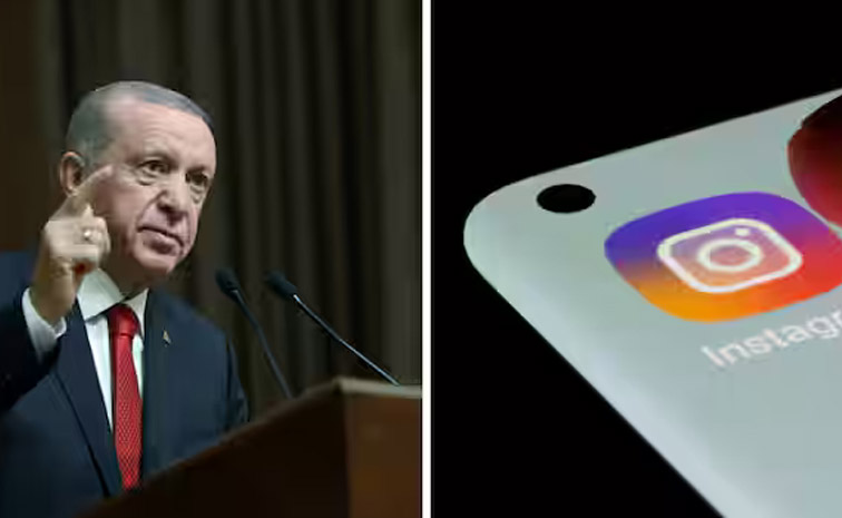 turkey.jpg
