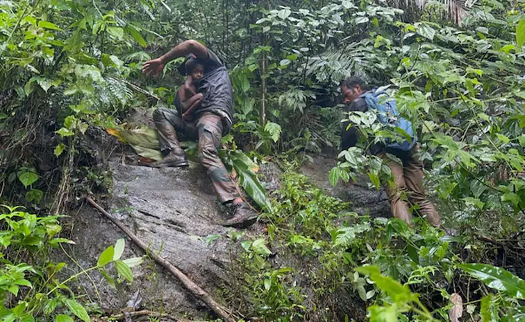 wayanad.jpg
