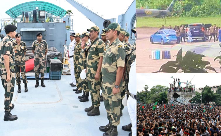 BSF.jpg