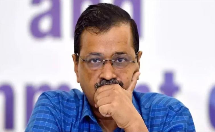 aap_4.jpg