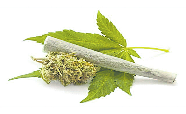 cannabis.jpg
