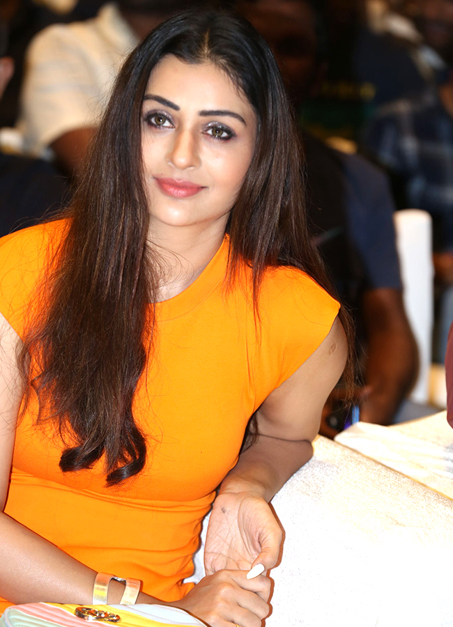 Actress_20payal_20rajput_20hot_20images_14.jpg 12
