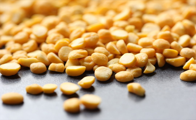 dal_20prices01.jpg