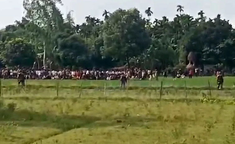 bsf-full.jpg