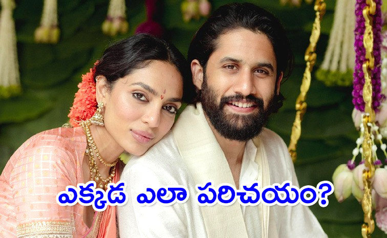 Naga-Chaitanya.jpg