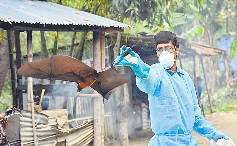 Tracking-the-Nipah-Virus.jpg