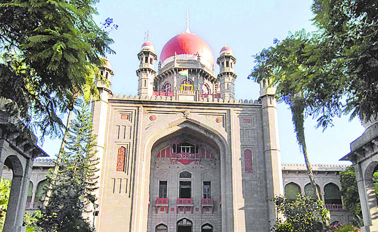 HC_205.jpg
