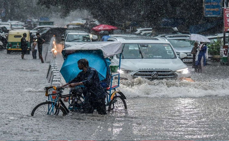 delhi_1.jpg