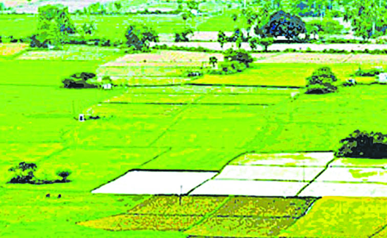 LAND.jpg