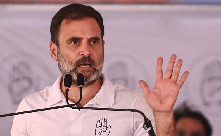 rahulgandhi_1.jpg
