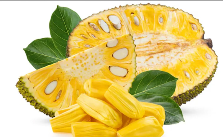 jock-fruit.jpg