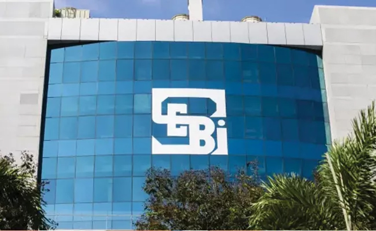 sebi01.jpg
