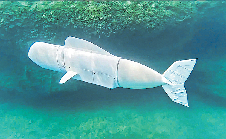 ROBOT-FISH.jpg