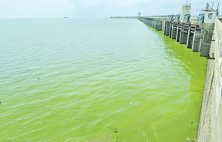 water_0.jpg