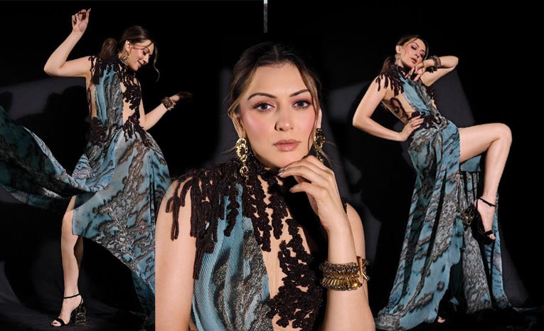 Hansika-Motwani.jpg