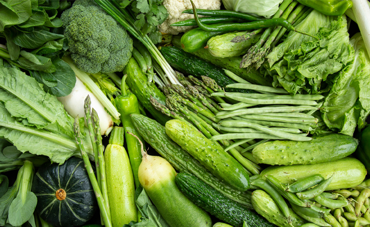 Veg1.jpg