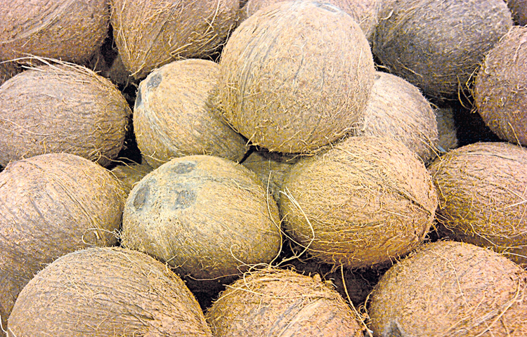 coconut_0.jpg
