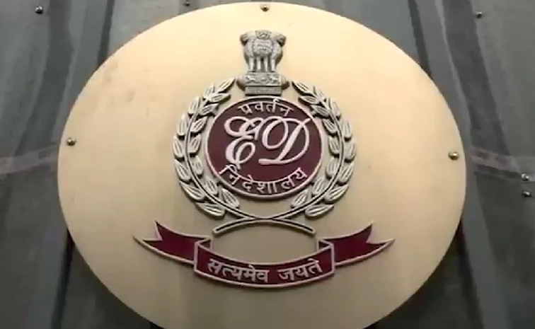 dabur01.jpg