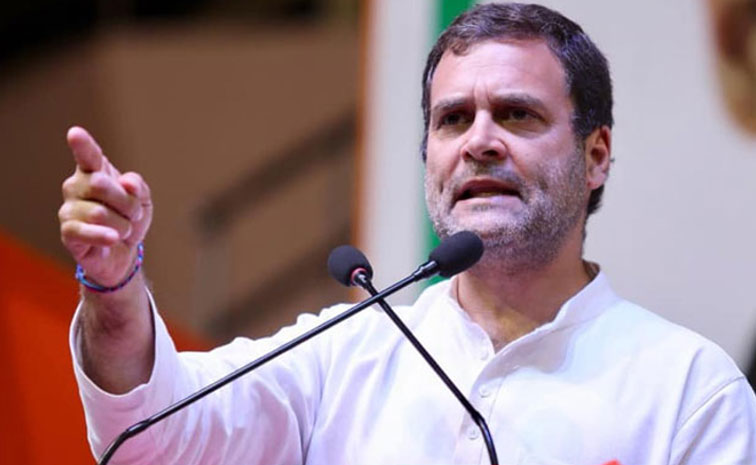 rahul_3.jpg