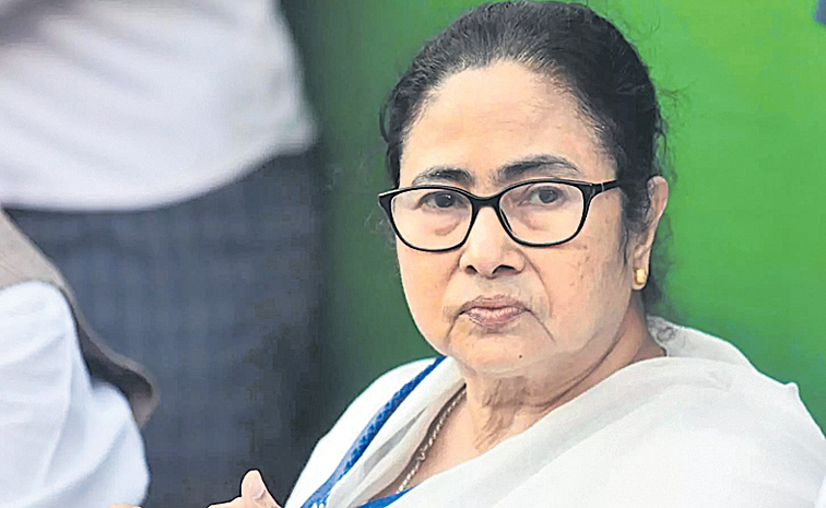 MAMATA.jpg