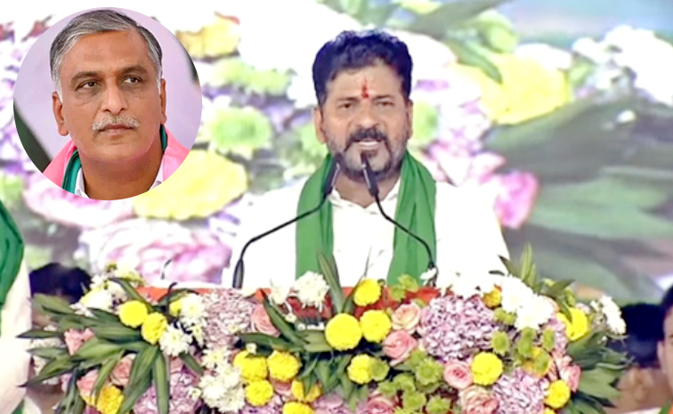RevanthReddy-HarishRao.jpg