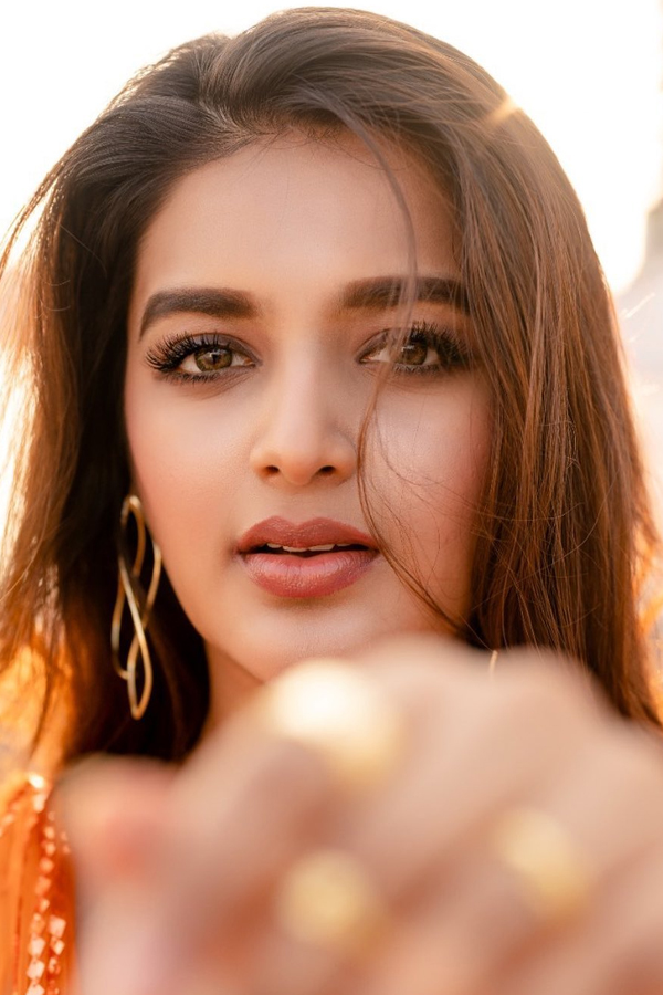 Nidhhi-Agerwal-7.jpg 8