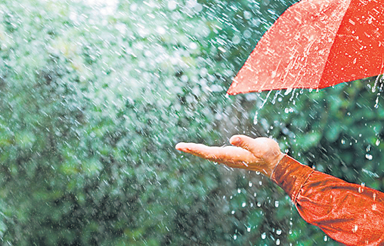 rain.jpg
