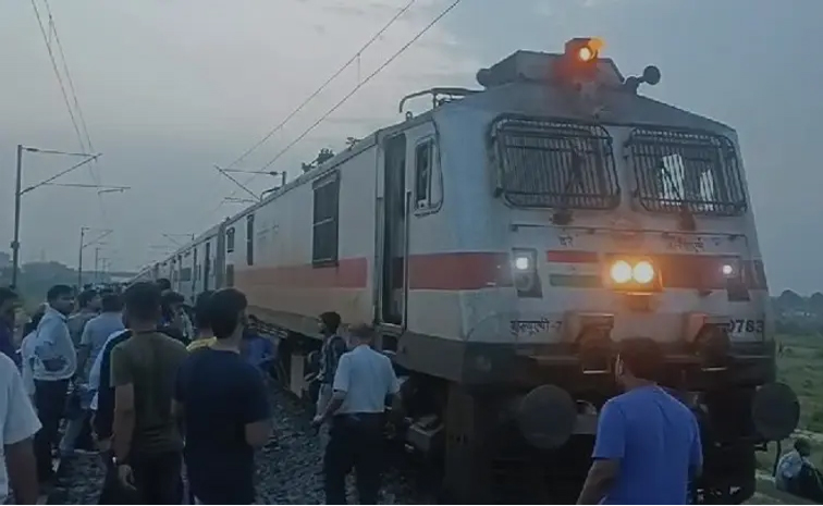 train_0.jpg