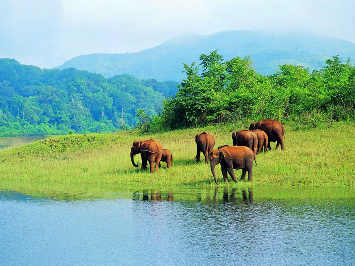 1.KBR-National-Park.jpg 2