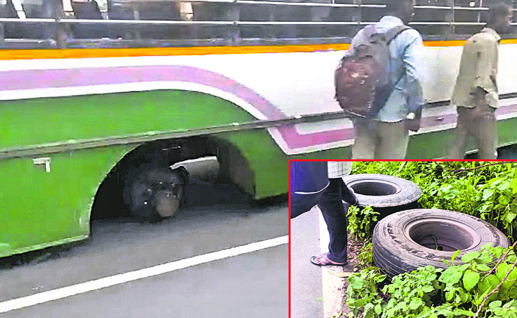 bus_1.jpg