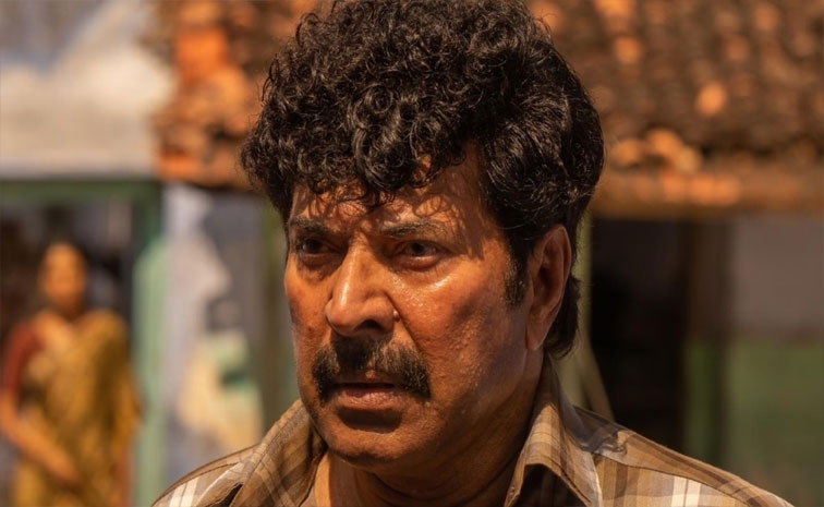 mammootty1.jpg