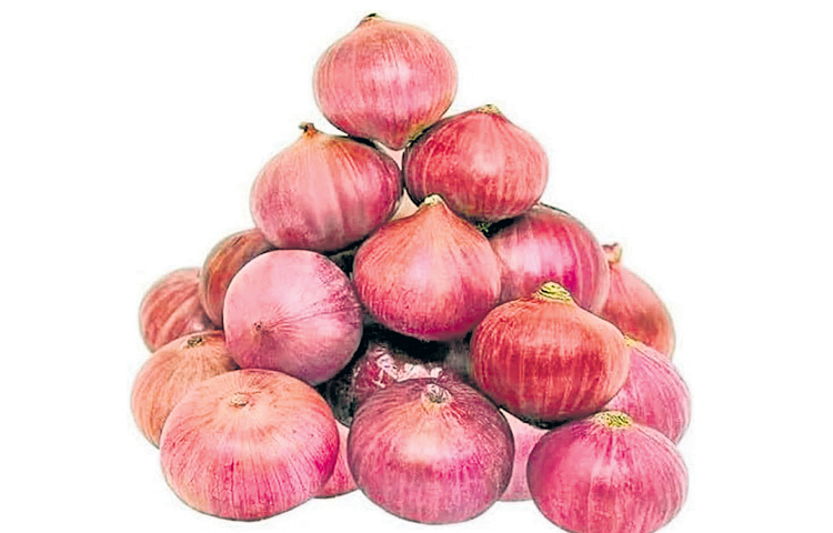 onions.jpg