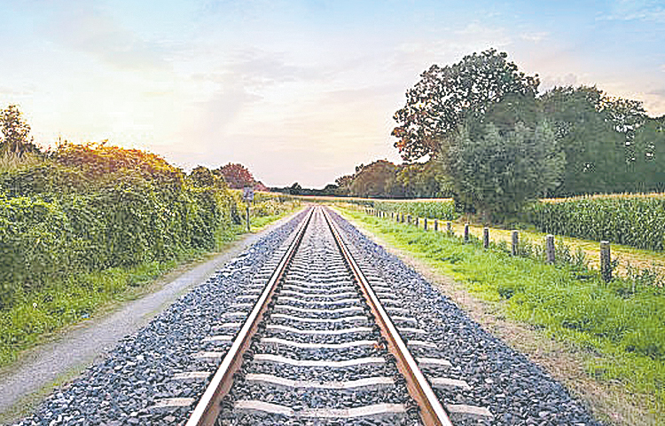train_0.jpg