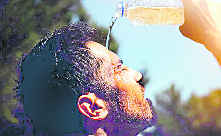 SUN_2031.jpg