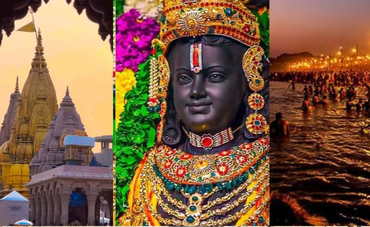 kashi.jpg