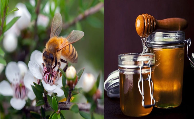 Manuka-honey.jpg