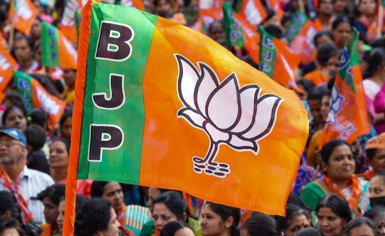 bjp-3.jpg