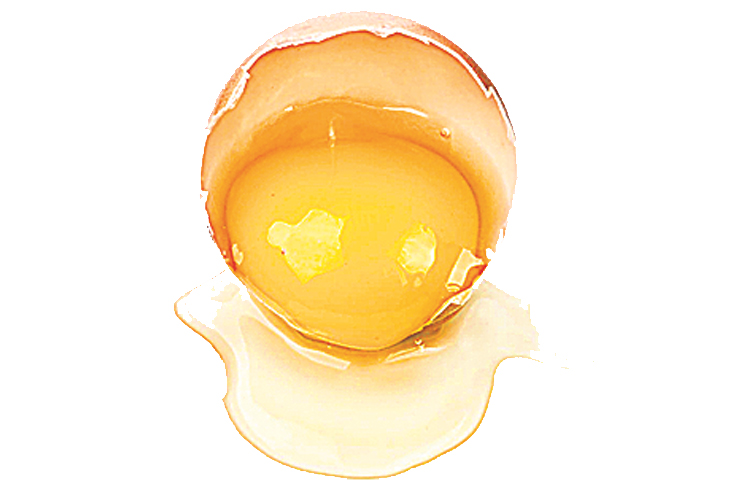 egg.jpg
