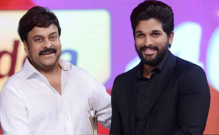 chiru_1.jpg
